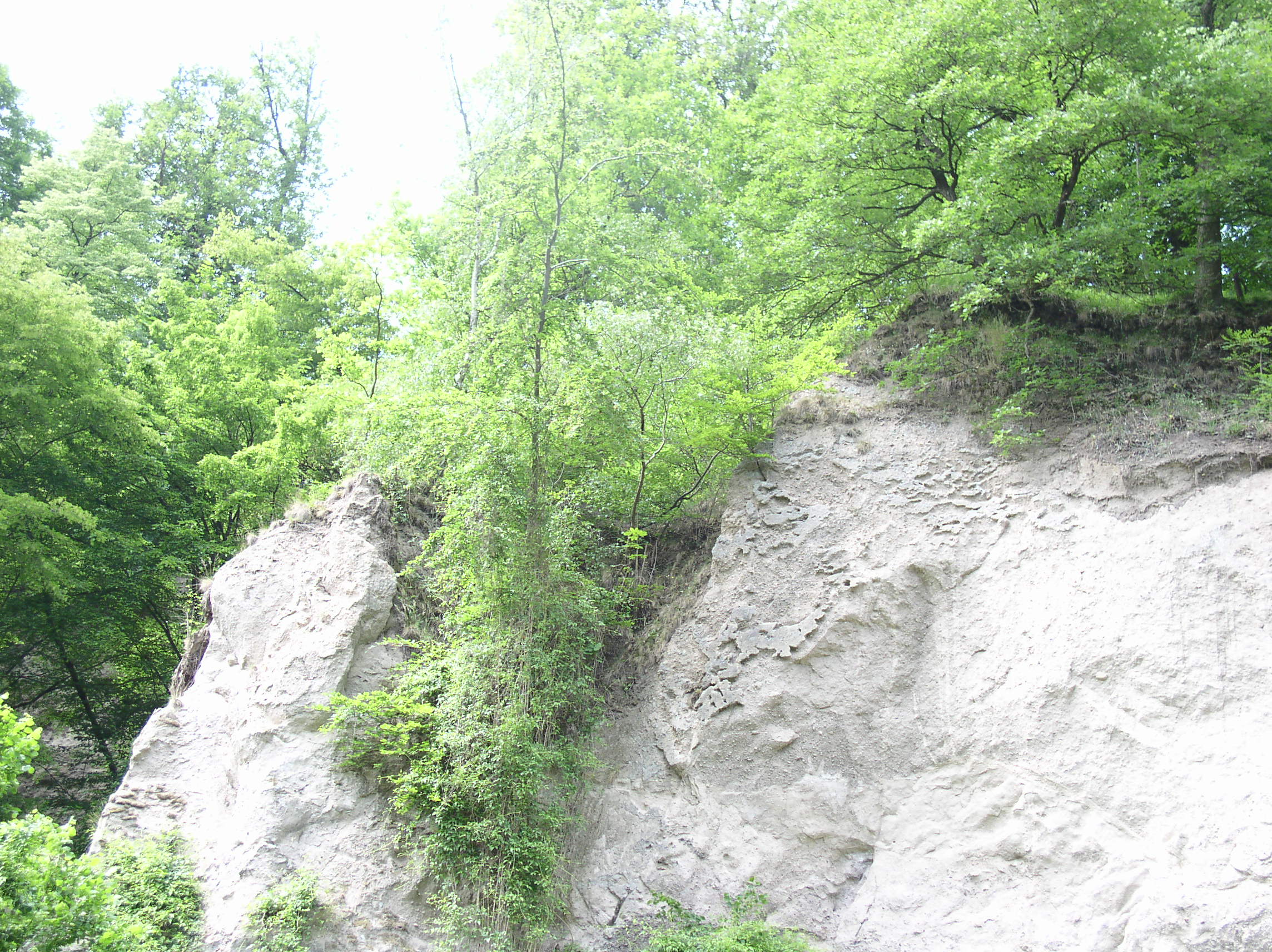 p1010236