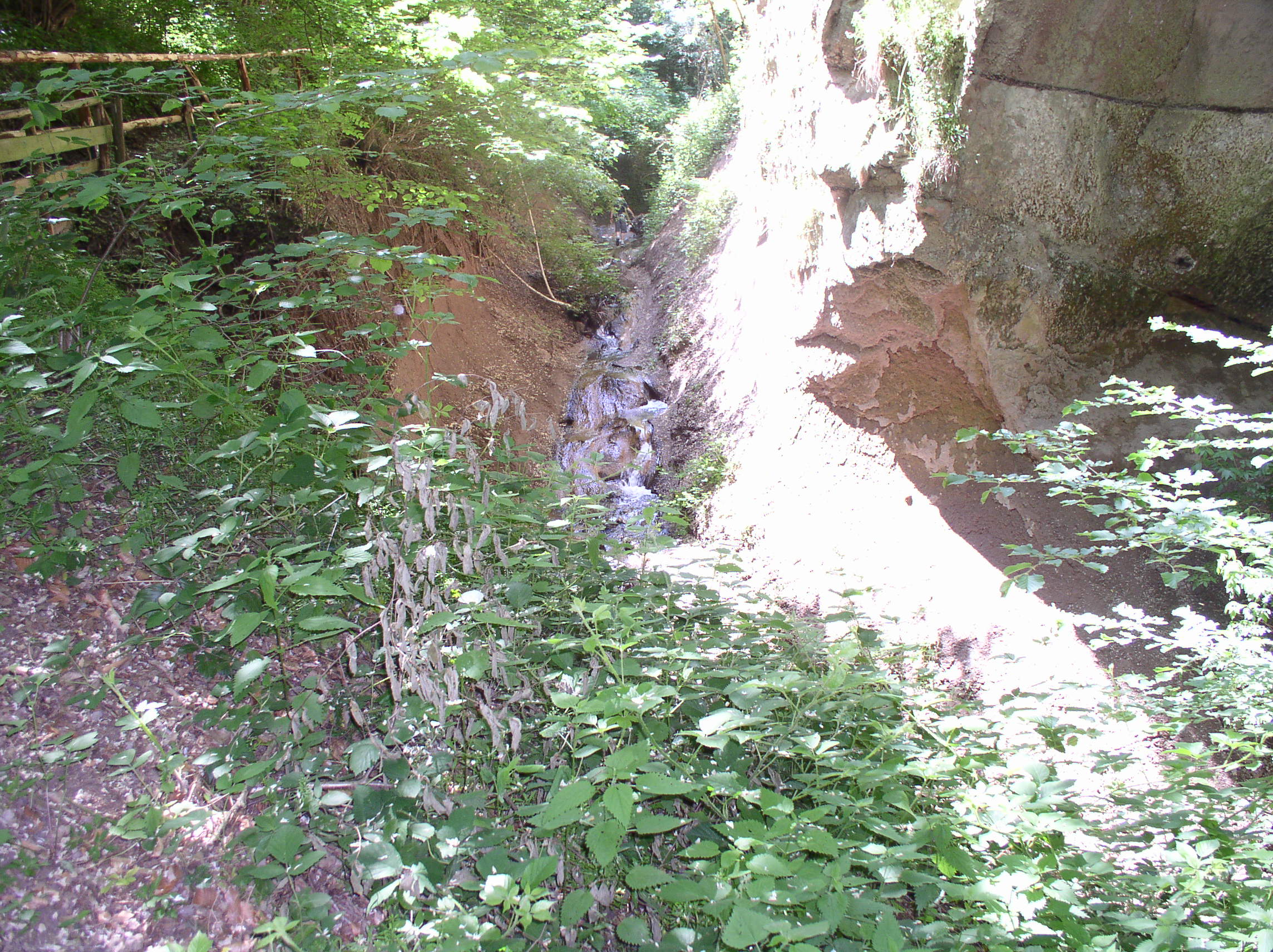 p1010259