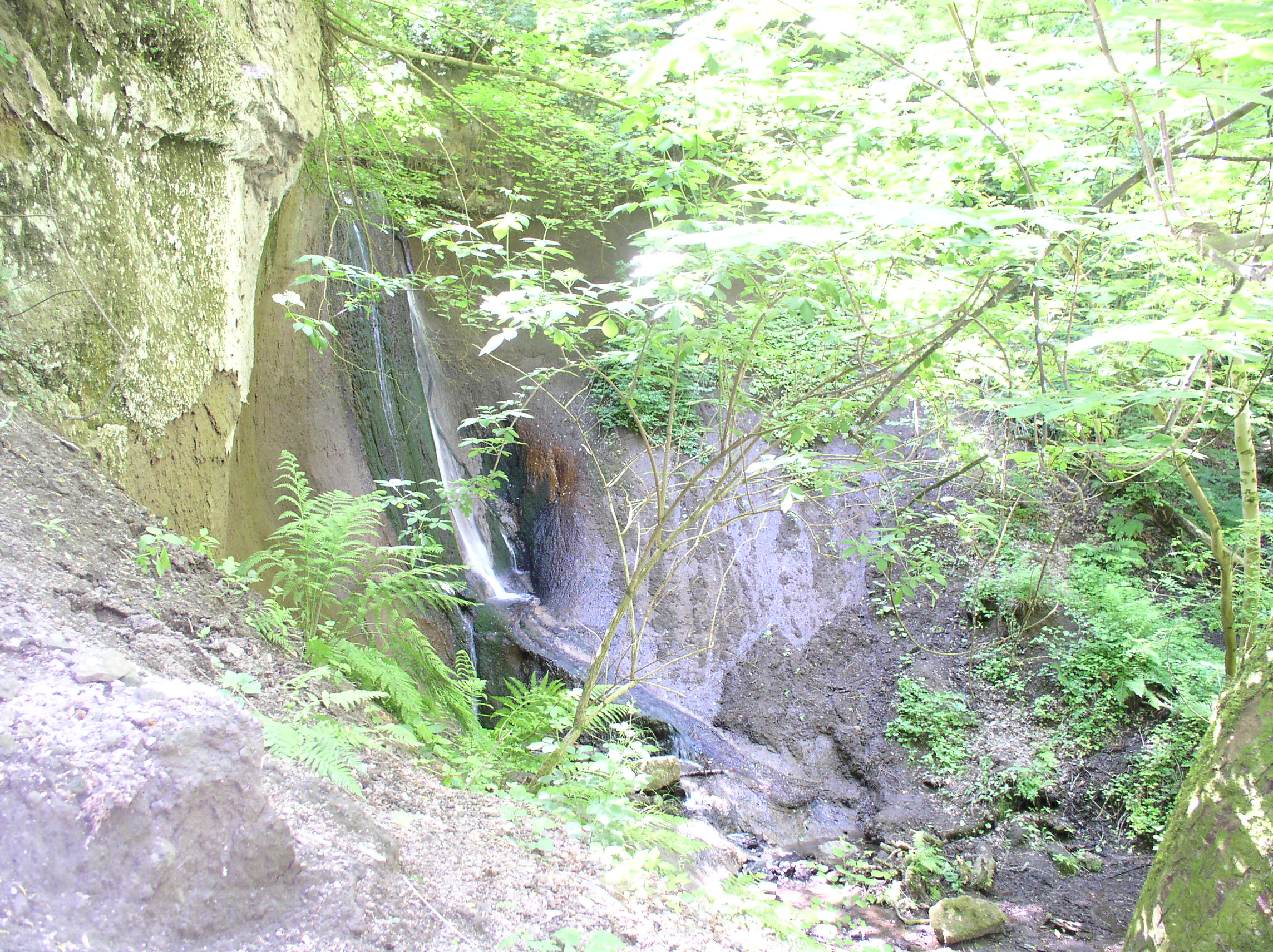 p1010268