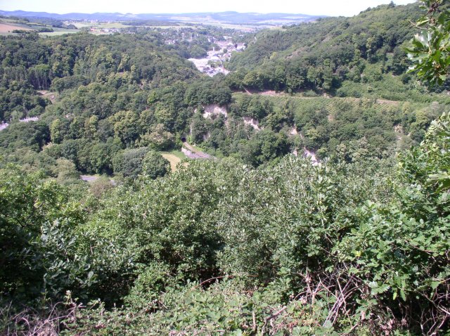 p1010223