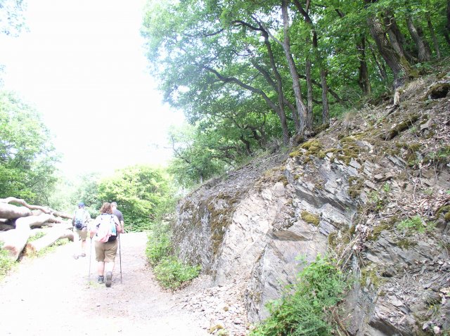 p1010226