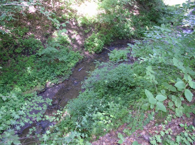p1010256