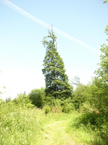 p1010274