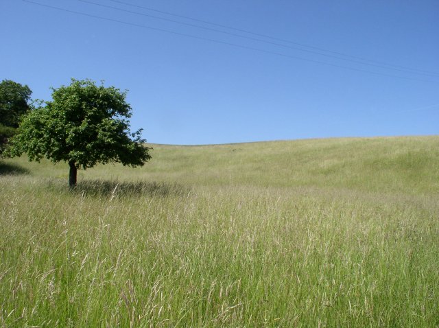 p1010283