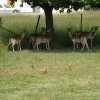 img_1393