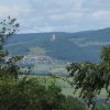 img_1397