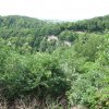 img_1401