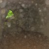 img_1416