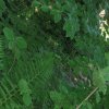 img_1433