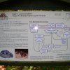 p1010271