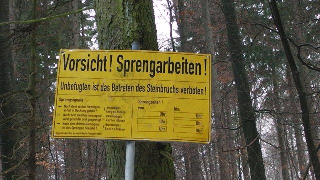 s1050009