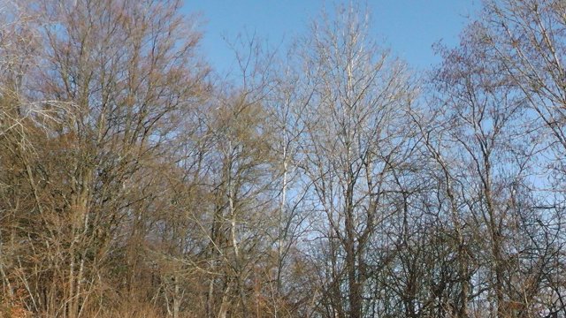 s1050038