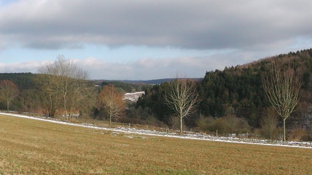 s1050060