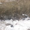 img_3420