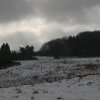s1050006