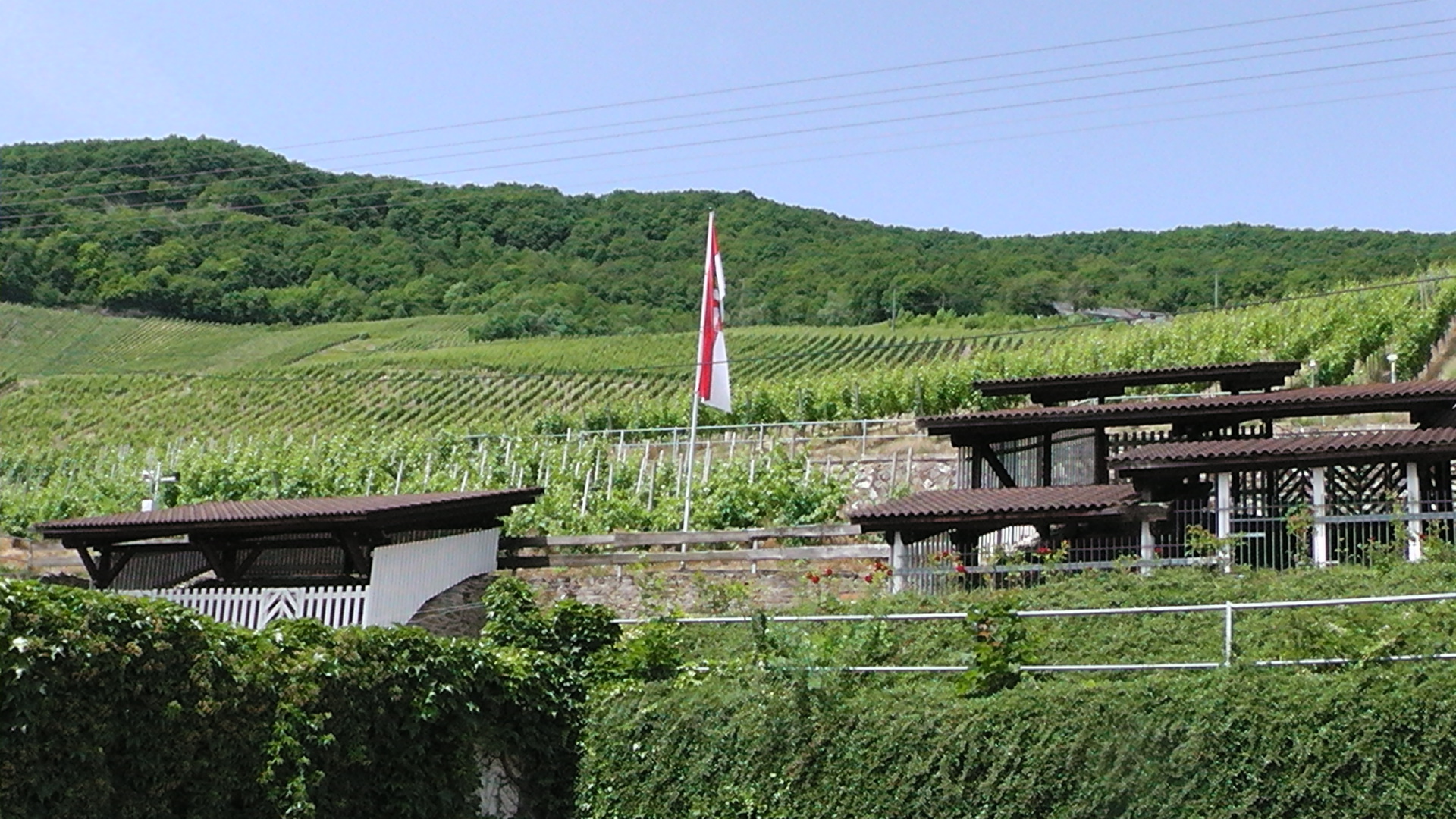 S1120002