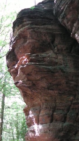 S1110046