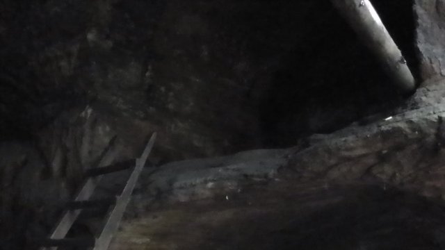 S1110047