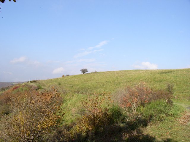 p1010157