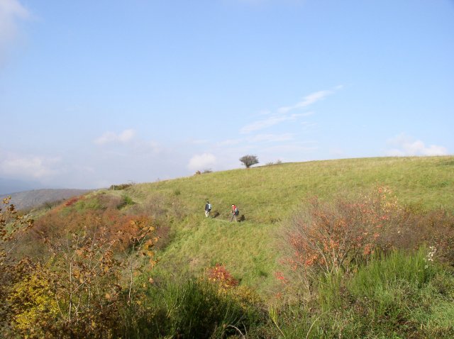 p1010158