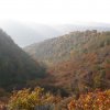 img_0943