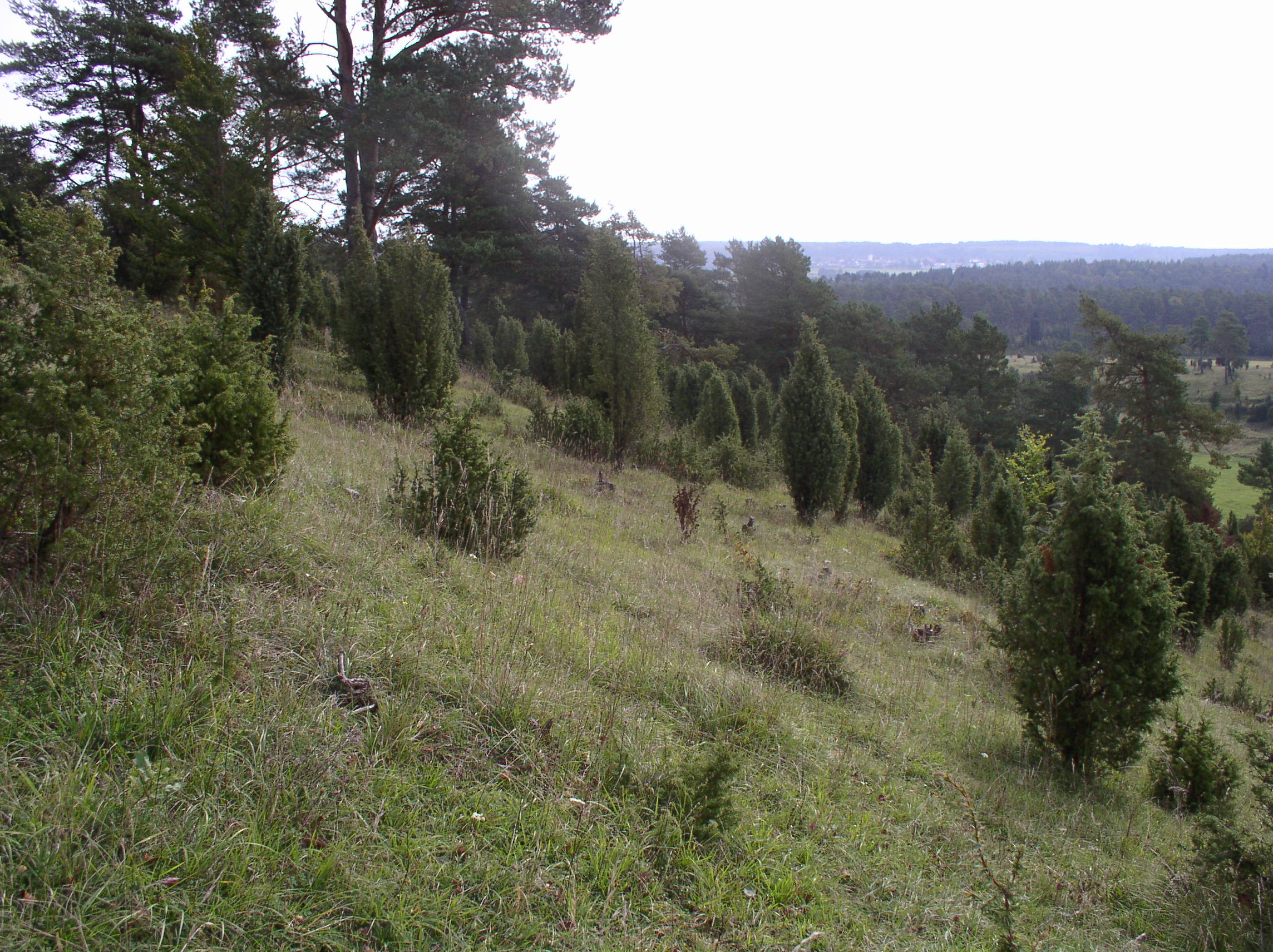 p1010096