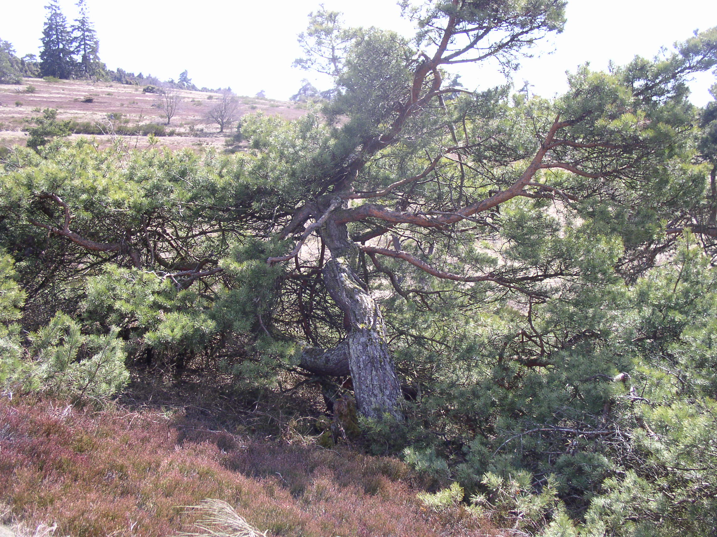 p1010233