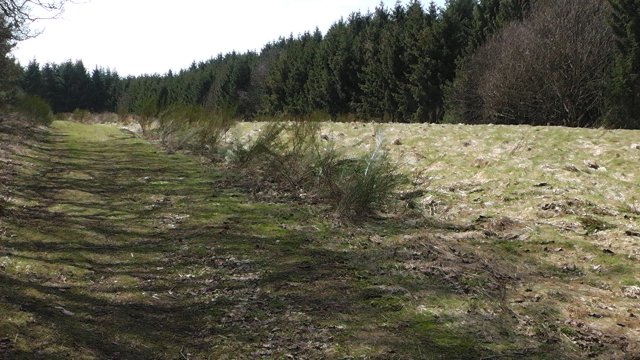 s1000031