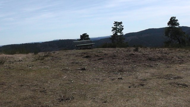 s1000054