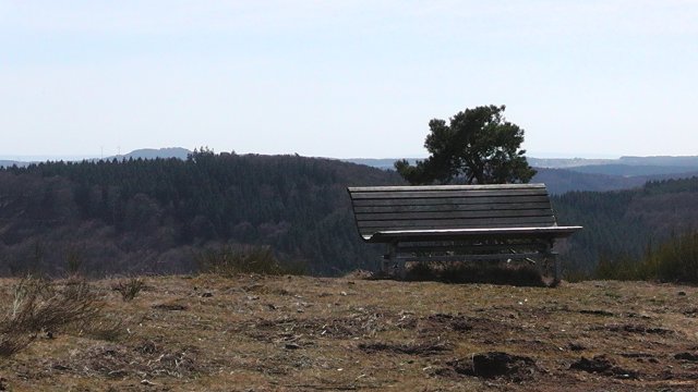 s1000055