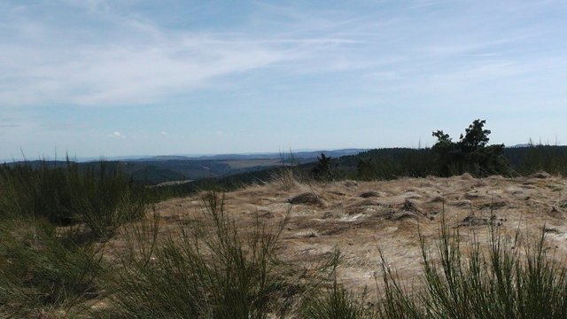 s1000056