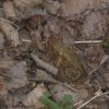 mendig-img_3532