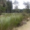 mendig-img_3598