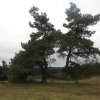 mendig-img_3599