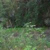 img_1972