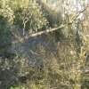 img_1980