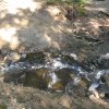 img_2011