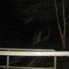 img_1931