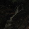 img_1934
