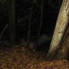 img_1935