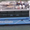 s1020021