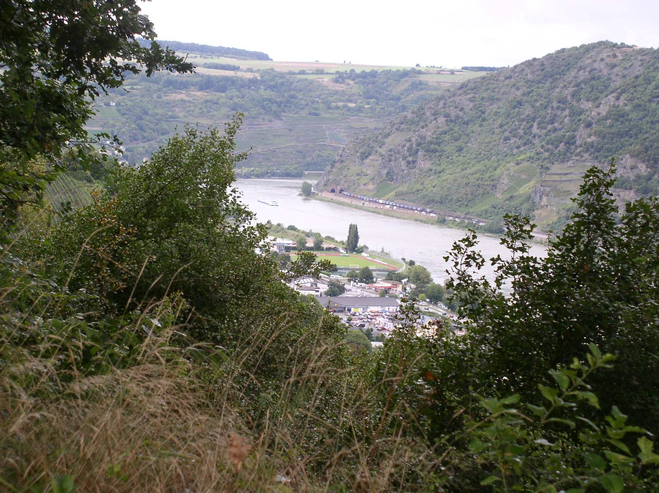 p1010361