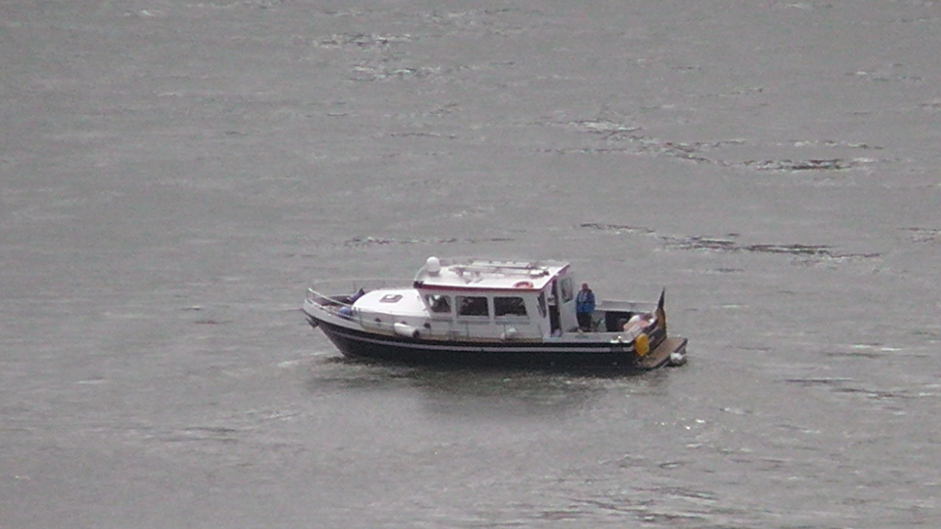 s1010003