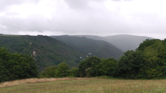 s1000013