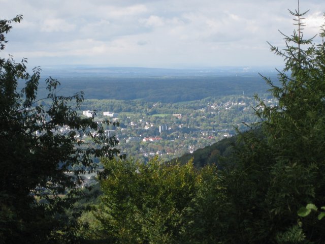img_0777