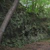 img_0775