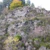 img_3801