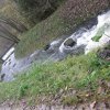 img_3808