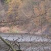 img_3813