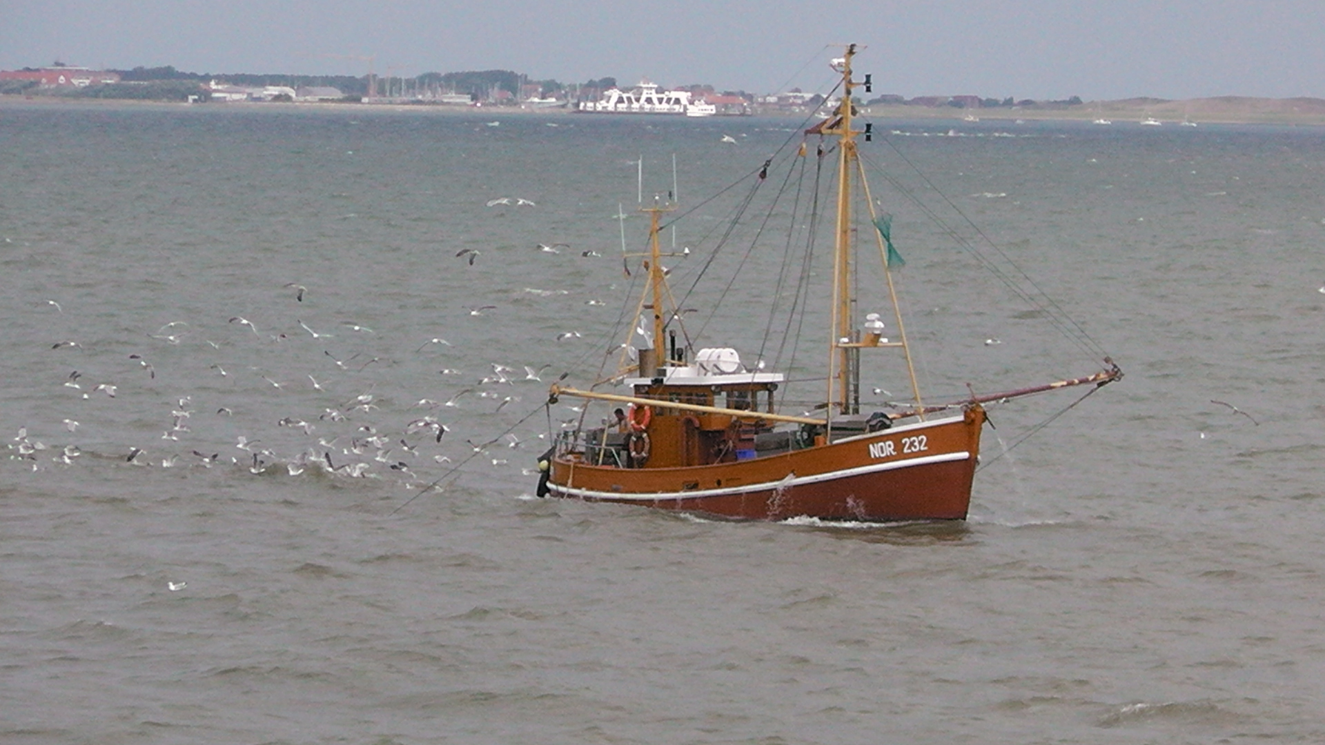 S1010006
